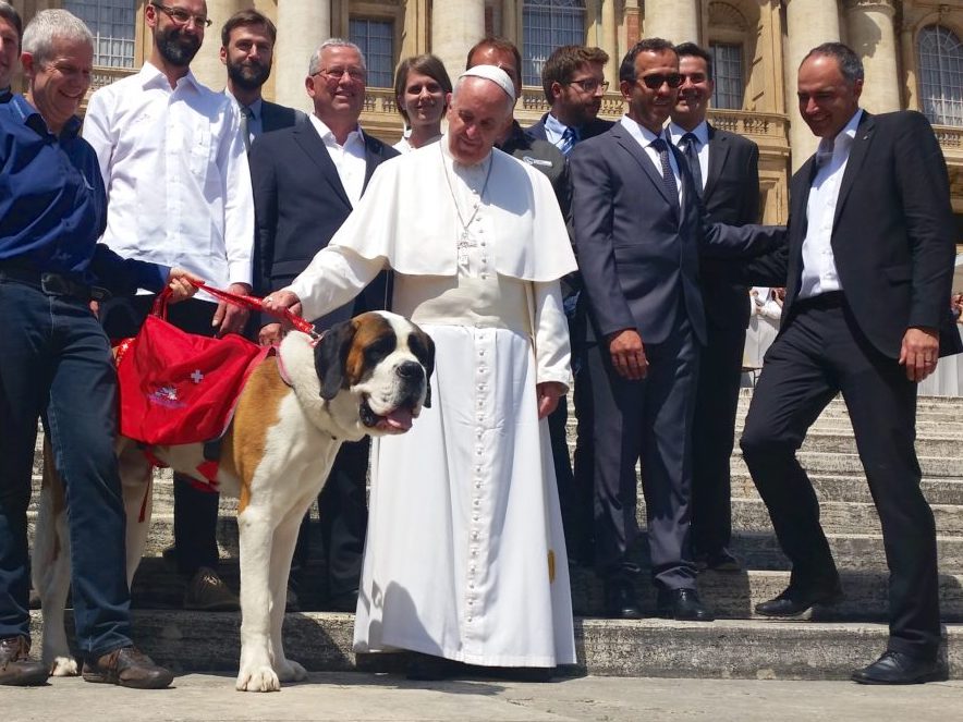 Pope Francis pets a Saint Bernard dog in 2016