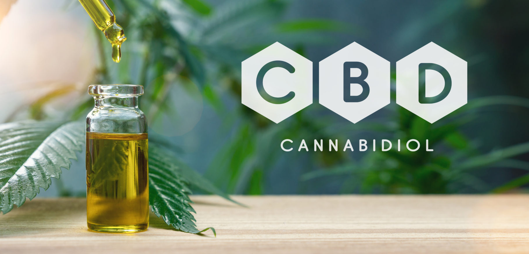 cbd oil and marijuana leaves