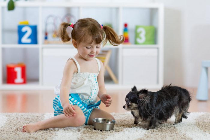 little girl sitting next to small dog and food bowl