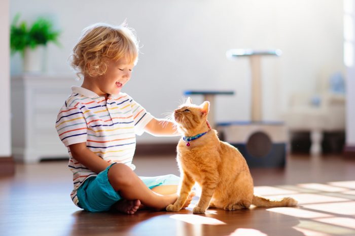 laughing boy petting an orange cat