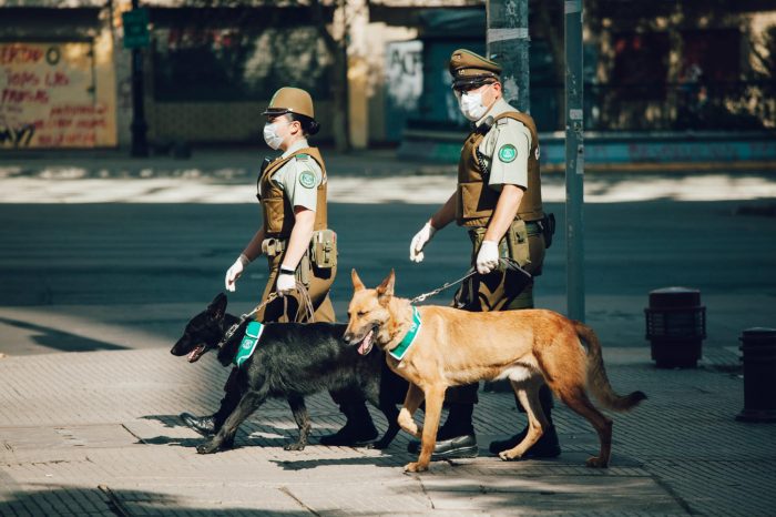 police in chile patrol the streets with two dogs