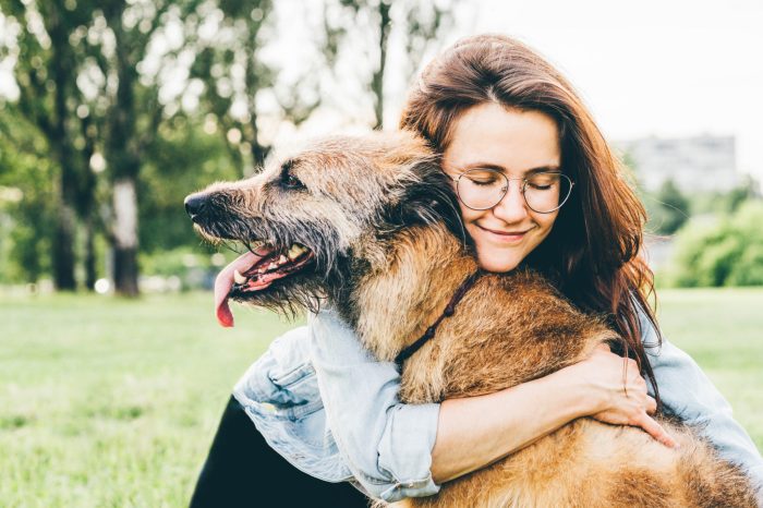 girl hugging old dog in a field